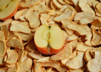 apple 2023616 960 720.jpg