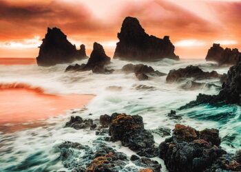 beach 7611654 960 720.jpg