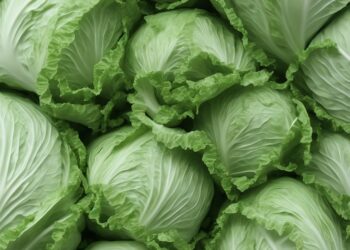 cabbage 7668781 960 720.jpg