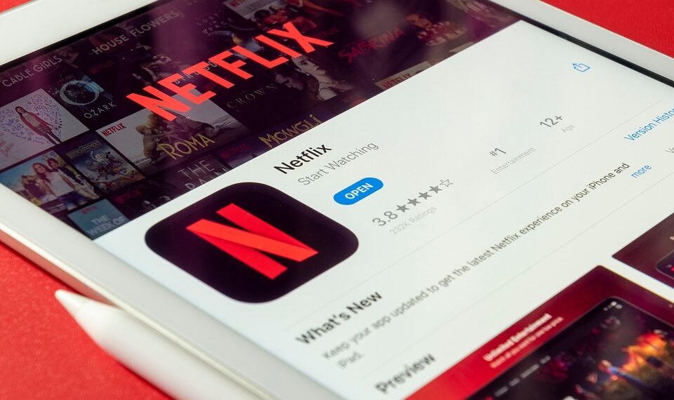 netflix 5945225 960 720.jpg