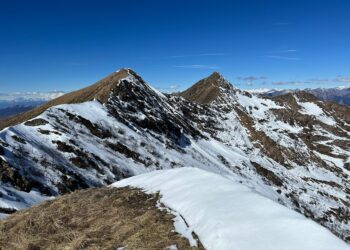 Hospitals in the World's Top 250

 United States: 43
 Germany: 23
 South Korea: