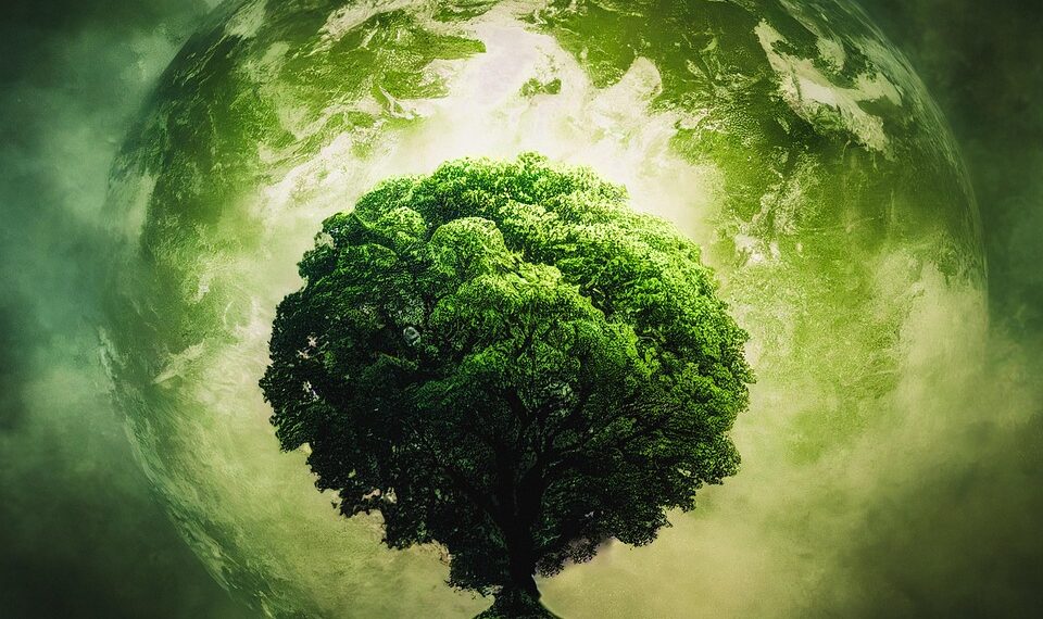 tree 7611694 960 720.jpg