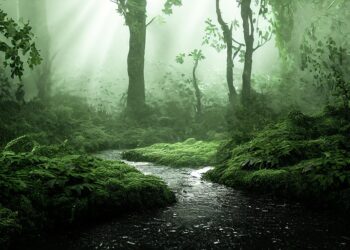 trees 7459831 960 720.jpg