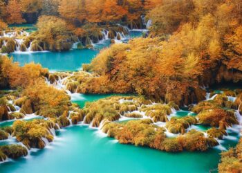 water 7611818 960 720.jpg