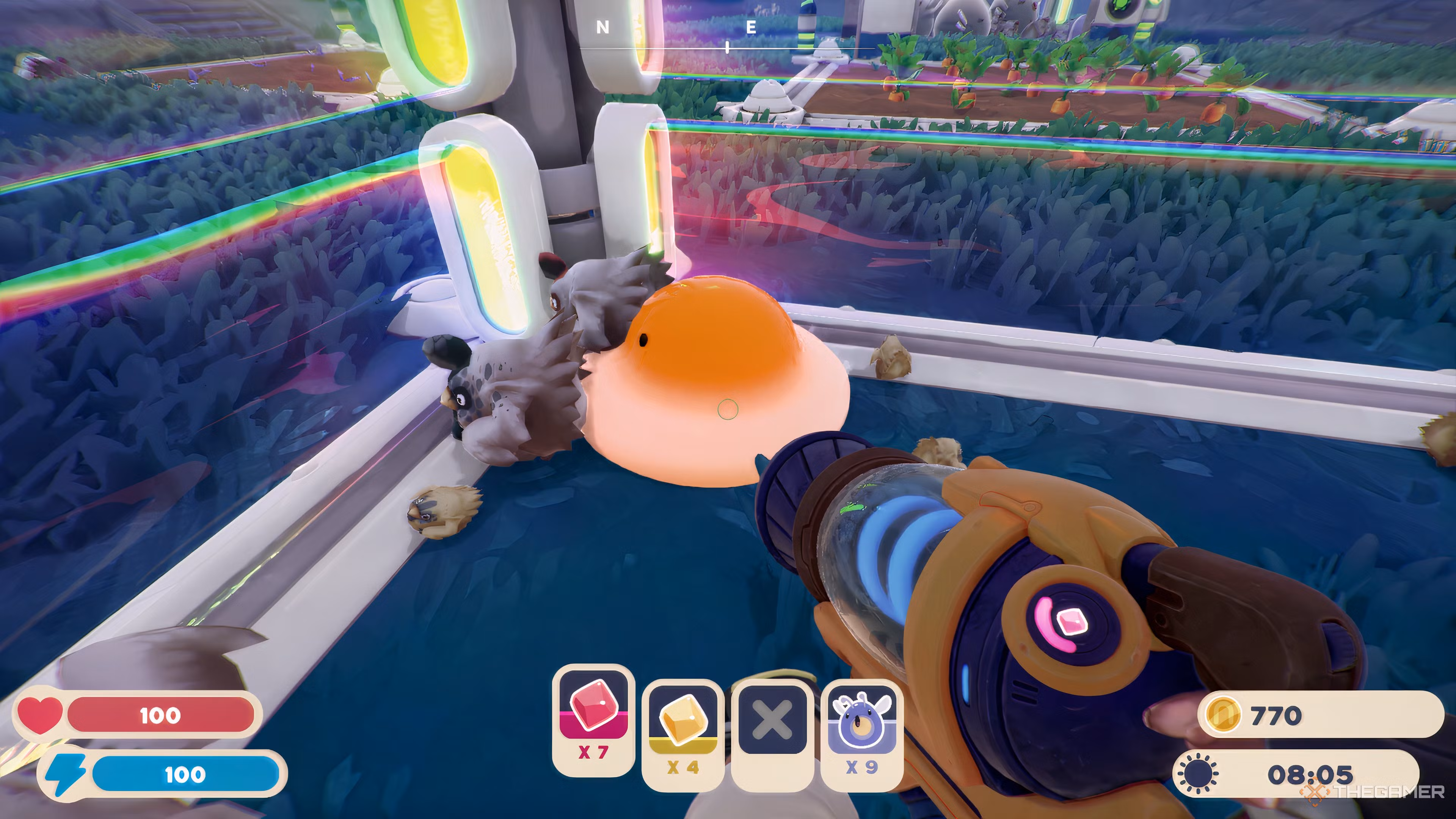 Yolky Slimes with hens