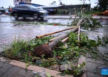 China Issues Emergency Alert as Typhoon Matmo Hits Coastal Areas
