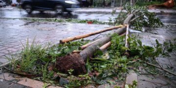 China Issues Emergency Alert as Typhoon Matmo Hits Coastal Areas