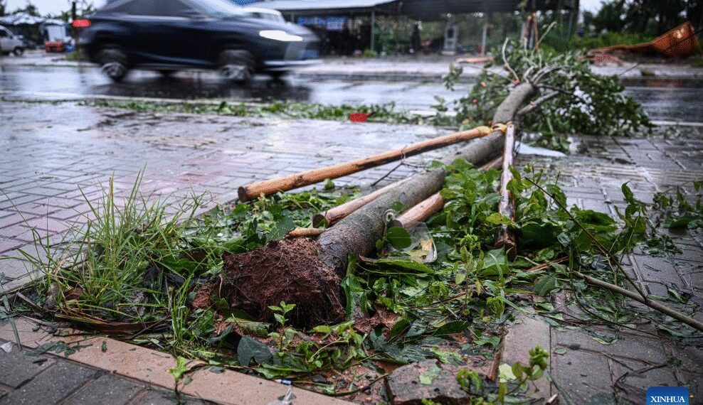 China Issues Emergency Alert as Typhoon Matmo Hits Coastal Areas