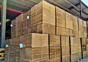 China Sets New Rules to Stop Disguised Foreign Trash via Recycled Pulp Imports