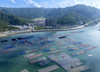 China’s Three Major Marine Economic Zones Surge in Output Over Five Years