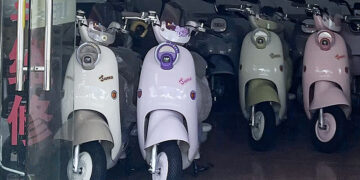 Chinese E-Bike Companies Grow Abroad, Boosting Green Mobility and Jobs