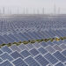 Daqo Profits in Q3 as PV Industry Implements Anti-Involution Measures