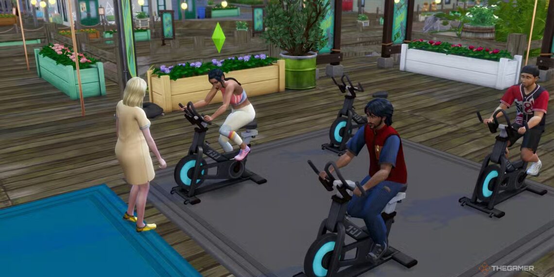 Gibbi Point Festivals in The Sims 4: Completing & Solving Adventures