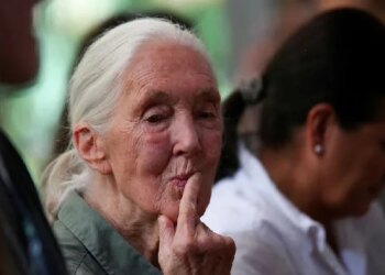 Global Farewell to Jane Goodall, the 'Chimp Whisperer'