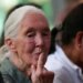 Global Farewell to Jane Goodall, the 'Chimp Whisperer'