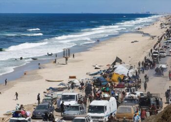 Hamas Reaction vs. Trump's Gaza Strategy: A Comparison