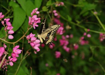 How To Fix an Unresponsive iPhone Touchscreen