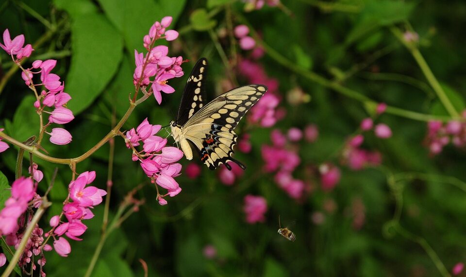 How To Fix an Unresponsive iPhone Touchscreen