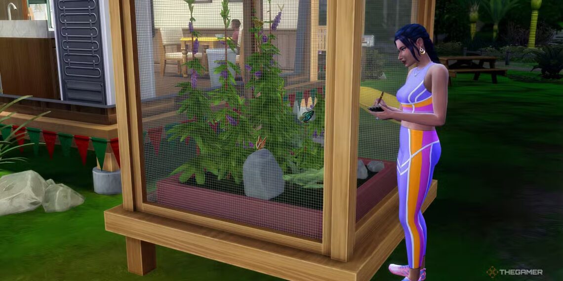 How to Achieve the Critter Collector Aspiration in The Sims 4: Adventure Awaits