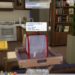 How to Boost Your Entomology Skill in The Sims 4 by Solving & Completing