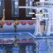 Maximizing Diving Skill in The Sims 4: Adventure Awaits and Solving Secrets