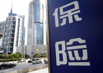 New China Life & Peers Project Record Nine-Month Profits Amid Market Uptrend