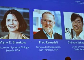 Nobel Prize Honors Trio for Discovering Immune System's "Security Guards"