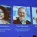 Nobel Prize Honors Trio for Discovering Immune System's "Security Guards"