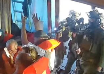 Pakistan, Nations Condemn Israeli Attack on Gaza Aid Flotilla