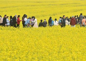 Rural Residents' Domestic Travel Soars 25% in First Three Quarters
