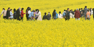 Rural Residents' Domestic Travel Soars 25% in First Three Quarters