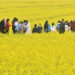 Rural Residents' Domestic Travel Soars 25% in First Three Quarters