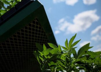 Sleep Issues Better Gums and Trendy Water Bottles.jpg