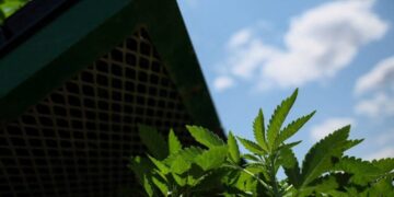 Sleep Issues Better Gums and Trendy Water Bottles.jpg