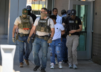 Surveillance States Self Driving Cars and AI Doomsaying The Norm.png