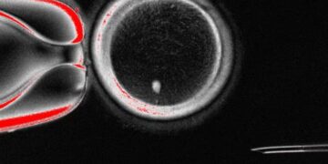 The Future Just Got Weird.jpg