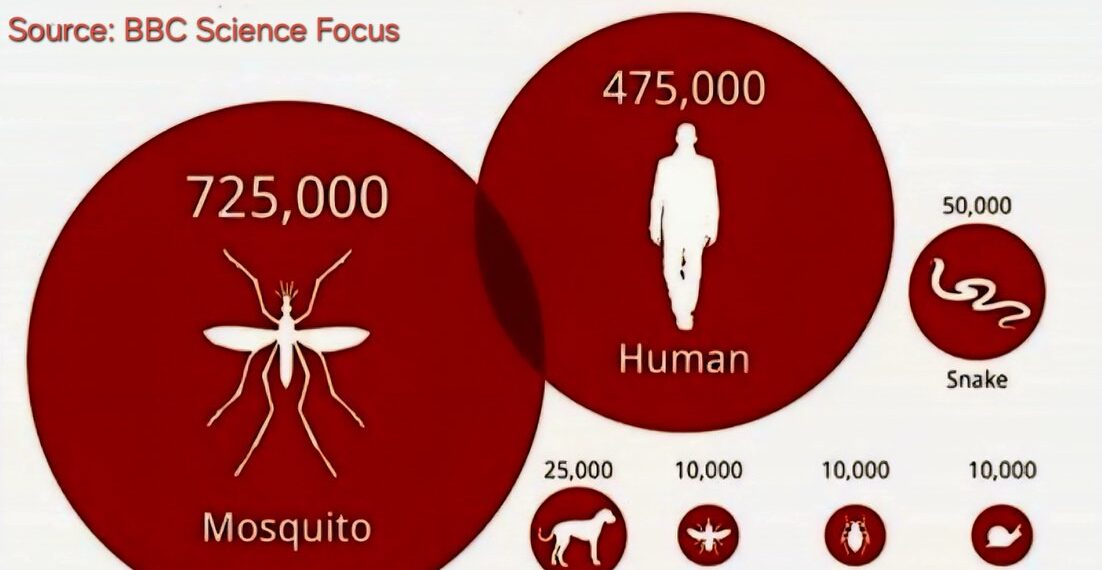 The World’s Deadliest Animals