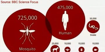 The World’s Deadliest Animals