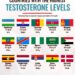 Top 15 Countries with the Highest Testosterone Levels