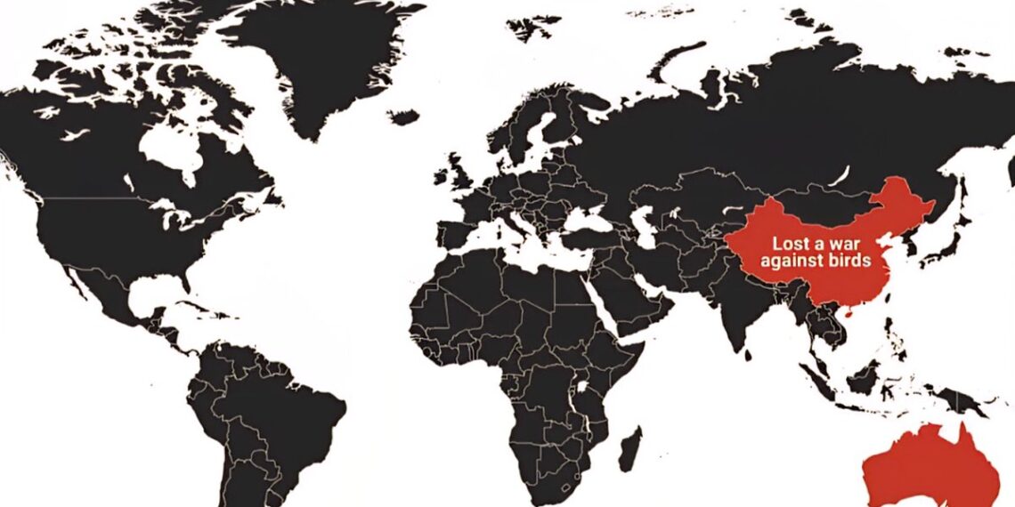 Countries That Lost a War Against Birds  

 Sparrow Campaign (1958) – China kill