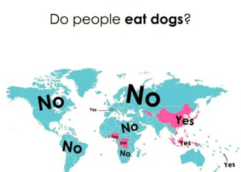 Countries Where Dog Meat Is Eaten