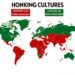 Honking Culture Around the World