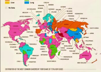 The Most Common Cancers Globally