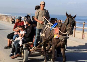 Trump’s Arab American Supporters Praise Gaza Deal Despite Doubts