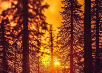 ai generated 7570061 960 720.jpg