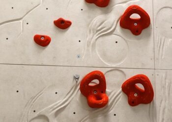 climbing holds 486027 960 720.jpg
