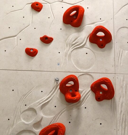 climbing holds 486027 960 720.jpg