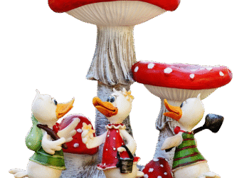 ducks 2687202 960 720.png