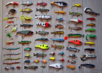 fishing 2669219 960 720.jpg