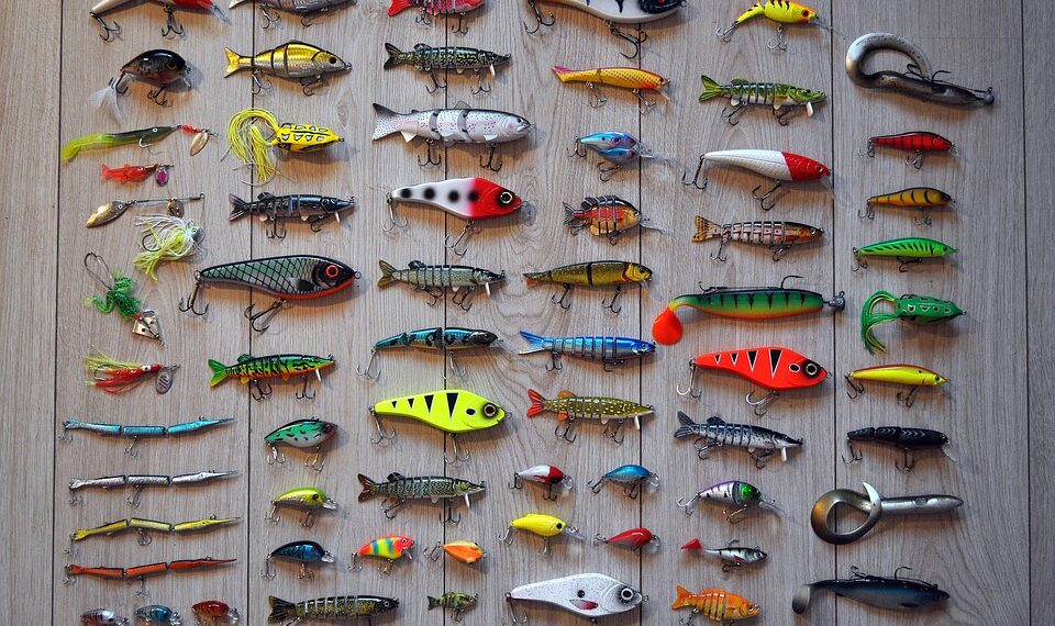 fishing 2669219 960 720.jpg